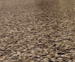 Decorative Flake Floors